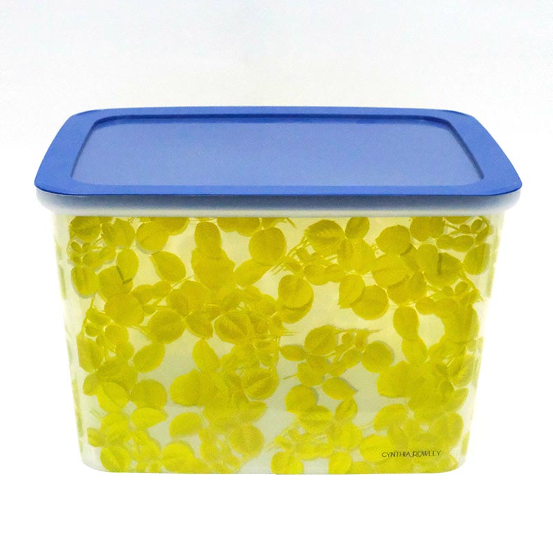 Formowanie wtryskowe w pudełku sortującym w etykiecie formy