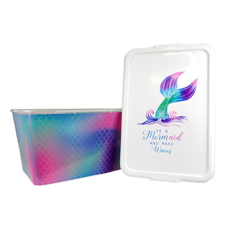 Organizator przechowywania Formowanie wtryskowe w etykiecie formy